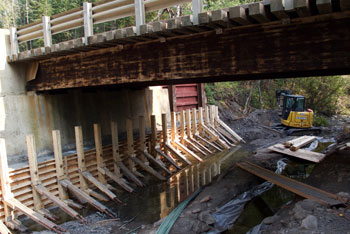 Photo of Bridge Concrete Repair
